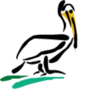 Pelican Wireless Systems logo