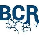 Blue Collar Roots Podcast Network